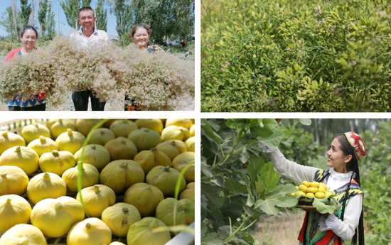 9e25a080-de16-4cf7-a5f9-432a37ac69ef