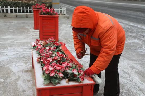环卫工人擦拭路边花坛。阿的拉 摄