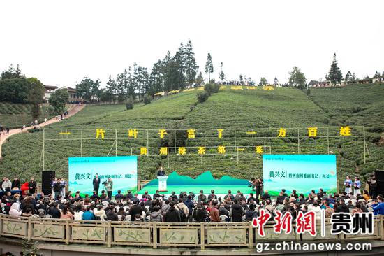 图为全国早茶大会暨2026年“贵州绿茶”第一采活动仪式现场。普安县融媒体中心 供图
