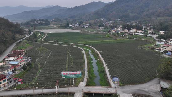 罗甸县逢亭镇祥脚村蔬菜种植坝区一角