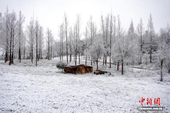 图为1月4日，威宁自治县草海北坡生态公园内雪景。邹丽 摄