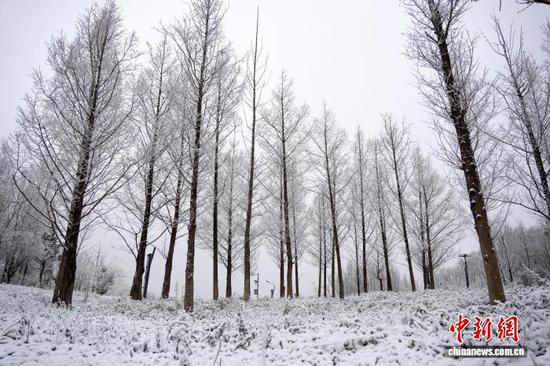 图为1月4日，威宁自治县草海北坡生态公园内雪景。蔡脒 摄