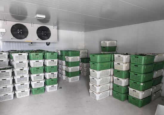 雅水镇新民村冷库项目