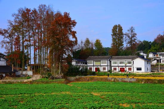 凤冈县进化镇临江村街子组和美乡村一景。(饶云 摄) 凤冈县进化镇临江村街子组和美乡村一景。(饶云 摄)