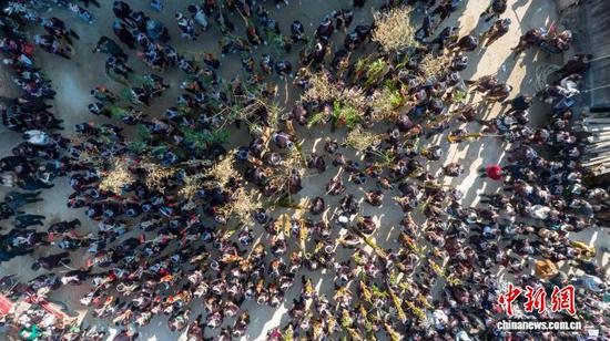 1月7日，贵州省黔东南苗族侗族自治州从江县丙妹镇大塘村举行一年一度的传统芦笙节，苗族同胞身着节日盛装，吹奏芦笙，欢聚一堂，载歌载舞，共庆丰收。图为苗族同胞在吹奏芦笙。（无人机照片）吴德军 摄