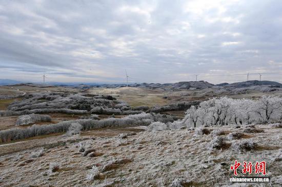 1月8日,贵州省毕节市威宁彝族回族苗族自治县雪山镇灼甫草场出现雾凇景象。沈光勇 摄 1月8日,贵州省毕节市威宁彝族回族苗族自治县雪山镇灼甫草场出现雾凇景象。沈光勇 摄