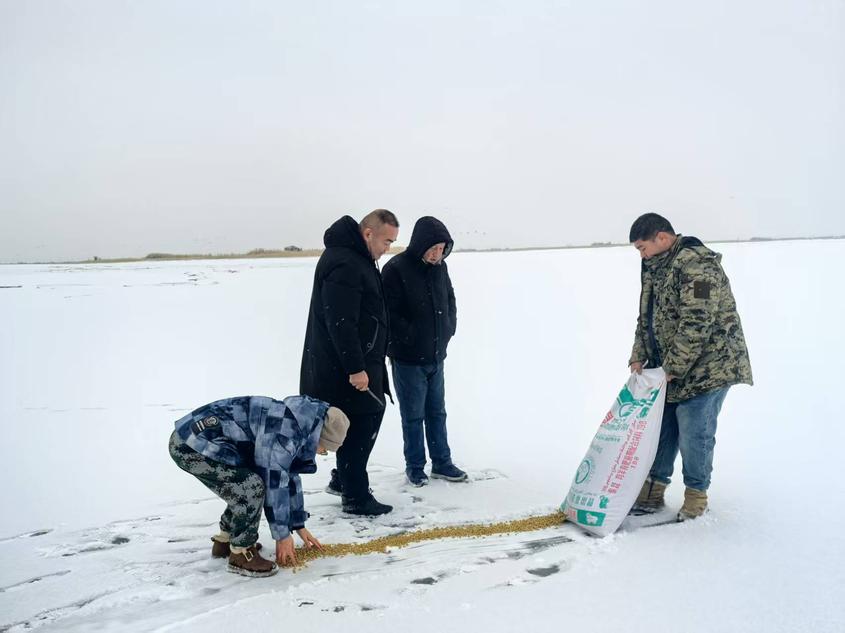 尉犁縣林業(yè)和草原局開展“投食保生存 監(jiān)測(cè)促保護(hù)”專項(xiàng)活動(dòng)
