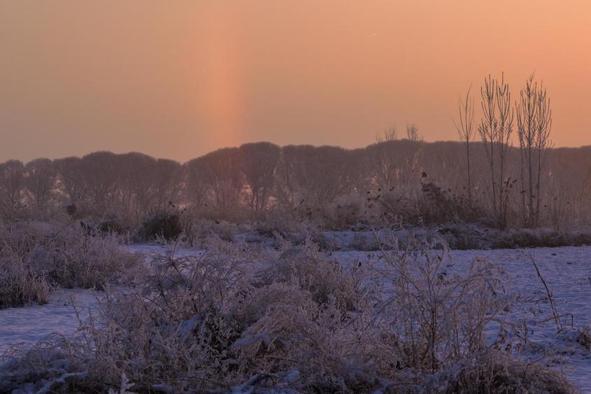 晨霧漫過伊犁河。