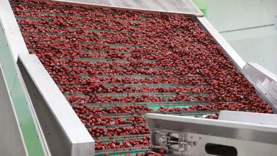 e591995489e69221bd7f7d1979ff1021