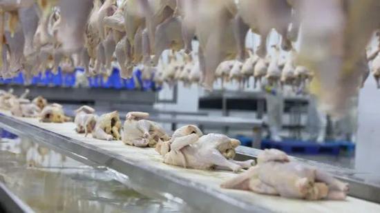 562293462a3c09ed2262b2e1e632e540