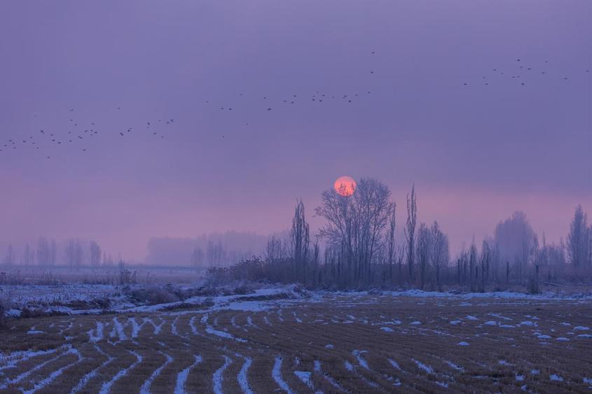 霧鎖伊犁河 邂逅冬日靜謐時(shí)光
