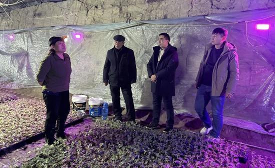 d65e8af2f5f318c4718ea455287acc31