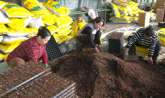 279d529cb04e374412f2e821a2338060