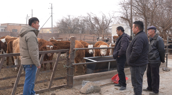 1dd4e226cabfd597c5e2487f8189525c