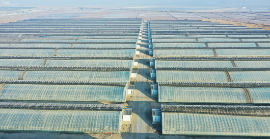 29a75f95a8b37e24bf6b30778a2e8e76