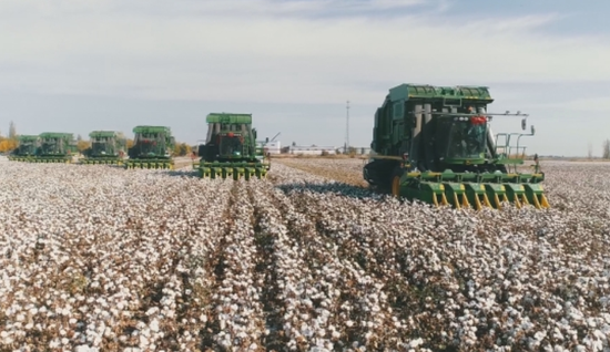 01c299cb-bba9-49a8-b8a3-8236aa5f1e51