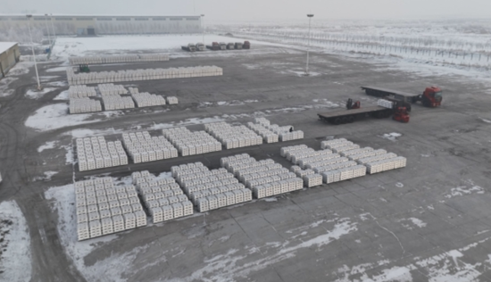 d00aa805-de50-481b-a381-b89c2f86f76e