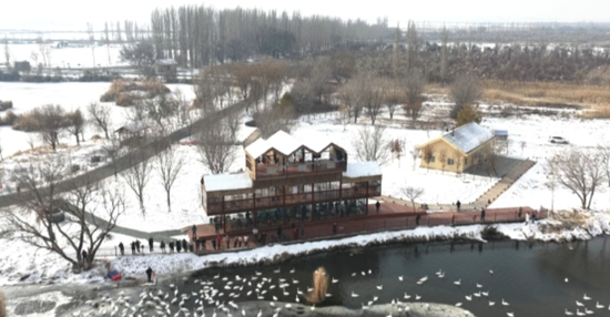 7dcbb9f0-e2a5-4878-96b2-3968c1bb46fb