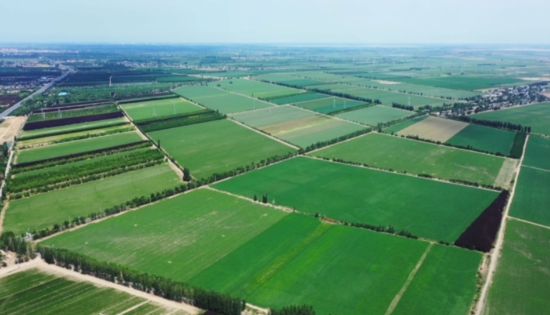 cab10df8-8332-4930-a0fa-715f35d888cd