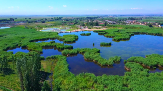 115b6d3c-4893-48bf-bfea-88a76bc73bfa