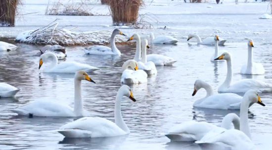 42d2998d-95df-467d-a178-2b5f4958a6fe