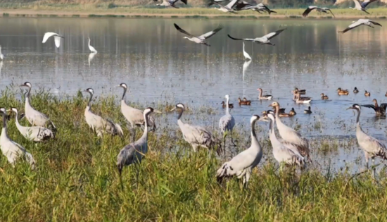 18b87501-841a-48b8-98e1-944946acef43