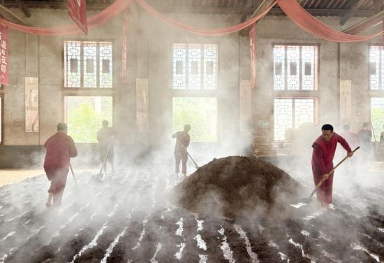 酿酒工人正在进行摊晾 酿酒工人正在进行摊晾