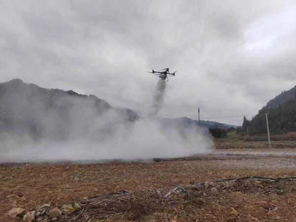 图为烟田洒石灰作业现场。黄远成 摄