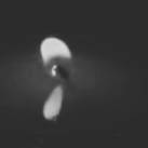 贺娇龙，这次远行，山高水长，一路走好