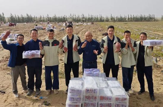 驻村工作队组织村民顺利完成330亩“明珠木棉·昆仑蜜薯”的集中采挖、分拣与装车工作。