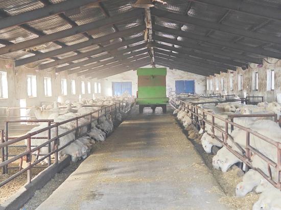 c900a4dc676224b4d1b02f474591c7ae