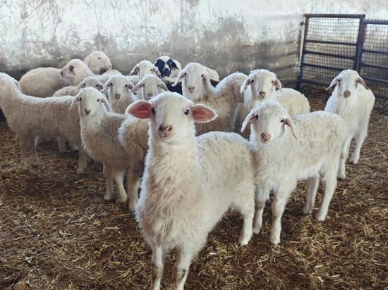 37e57772841eb83ab654178dfa92ecbd