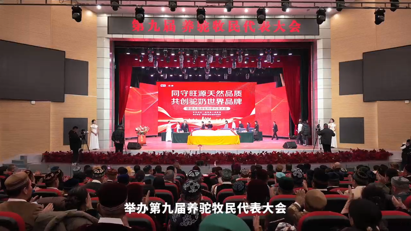 第九届养驼牧民代表大会在福海县举行
