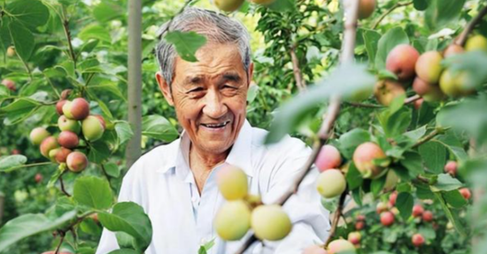 王延明站在自己种植的果树林中。（图片由本人提供）6