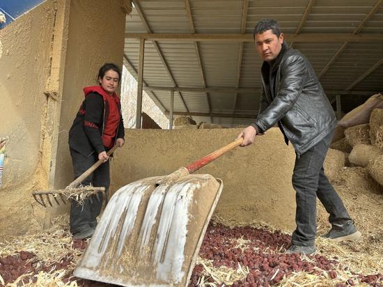 如孜买买提与苏地尼沙夫妇正在配比饲料。
