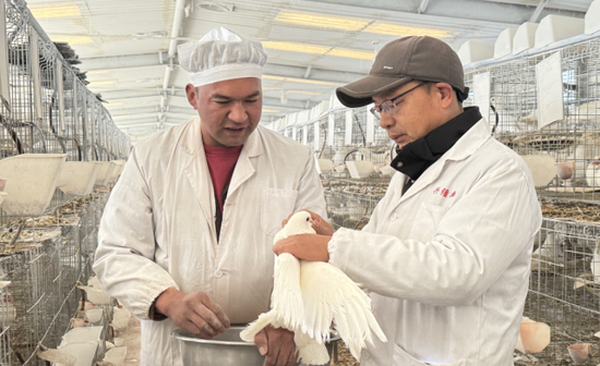 ed3ad583-30a3-42a5-8ede-9adffba007a8