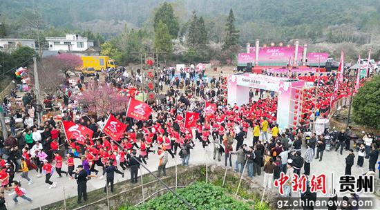 1月18日,梅原健康跑活动在荔波万亩梅原举行,数百名跑者穿越荔波梅花海,用运动打卡最美花期。胡浩杭 摄 1月18日,梅原健康跑活动在荔波万亩梅原举行,数百名跑者穿越荔波梅花海,用运动打卡最美花期。胡浩杭 摄