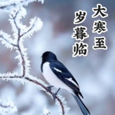 今日大寒！本周全疆三轮降雪已在路上→