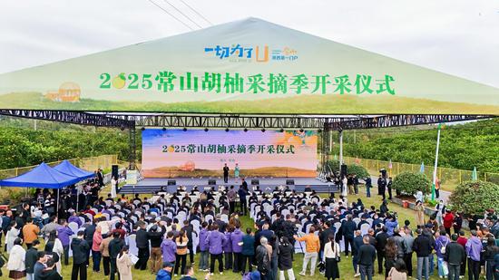 图为2025常山胡柚采摘季开采仪式现场（资料图片）