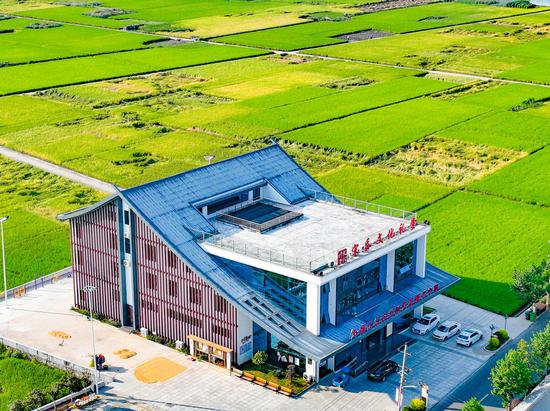 “礼堂婚礼”在宋岙村文化礼堂举办