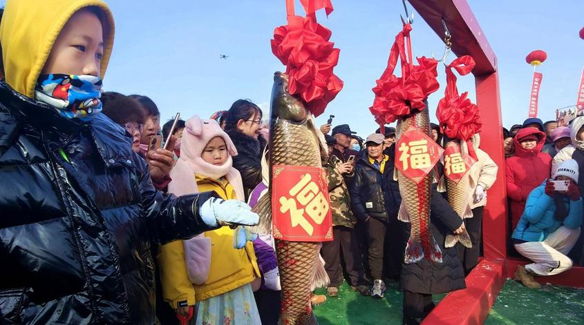 察布查尔县：塞锡湖冬捕头网捕捞鲜鱼超2000公斤