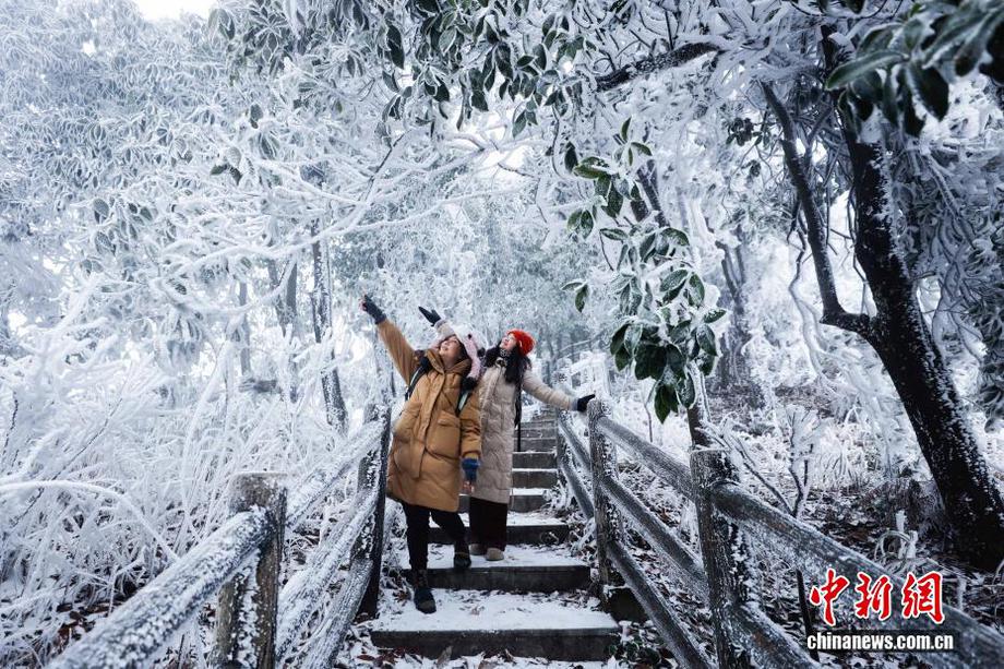 桂北雾凇漫山如画 冰雪幻境引客来