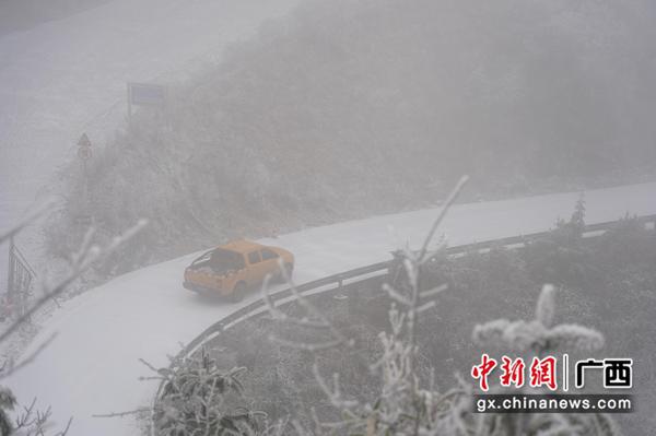 桂林供电局组织专业技术人员开展线路特巡。莫希涛 摄 桂林供电局组织专业技术人员开展线路特巡。莫希涛 摄