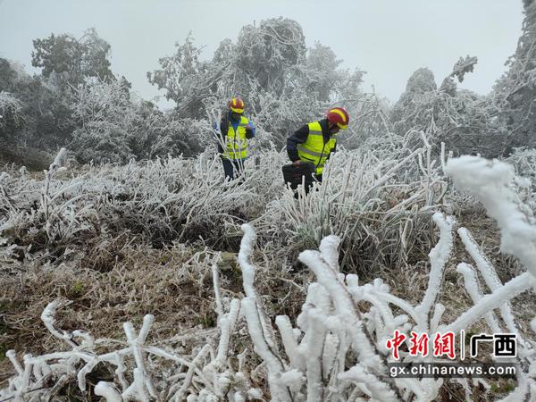 抢修队肩扛光缆攀险峰,守护信号不间断。 杜玲 摄 抢修队肩扛光缆攀险峰,守护信号不间断。 杜玲 摄