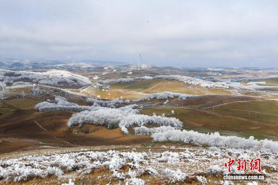 受寒潮天气影响,1月22日,贵州省毕节市威宁彝族回族苗族自治县雪山镇灼甫草场出现雾凇景观。 受寒潮天气影响,1月22日,贵州省毕节市威宁彝族回族苗族自治县雪山镇灼甫草场出现雾凇景观。