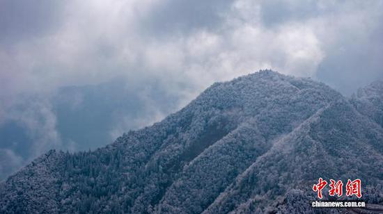 图为贵州省从江县丙妹镇宰略村党尚山出现的雾凇景观。(无人机照片)吴德军 摄