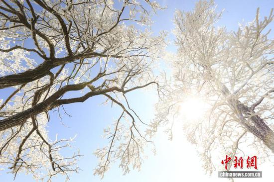 受寒潮天气影响,1月22日,贵州省毕节市威宁彝族回族苗族自治县雪山镇灼甫草场出现雾凇景观。 受寒潮天气影响,1月22日,贵州省毕节市威宁彝族回族苗族自治县雪山镇灼甫草场出现雾凇景观。