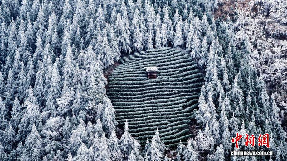 广西侗乡：诗意雪韵入画来