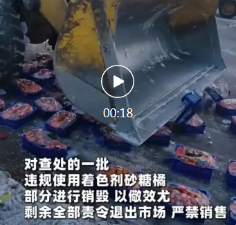 销毁！九鼎市场查处一批违规使用着色剂砂糖橘