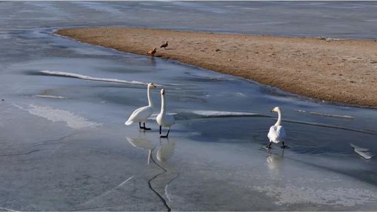 bf205625a4b49b32a0df94d616e1cae5